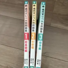 新・現代文レベル別問題集 1, 2, 3巻セット