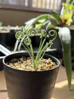 ビアンキ様 リクエスト 3点 まとめ商品