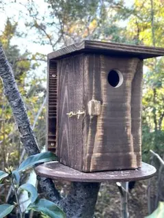 Item thumbnail for item 7630309f-7634-4d37-91dd-5a7e1122828a