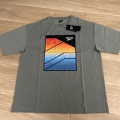 Reebok メンズMサイズ Tシャツ グレー 新品タグ付