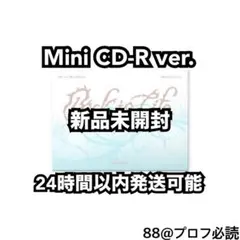 &TEAM 韓国1stミニアルバム「Back to Life」Mini CD-R