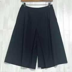 エマジェイムス　プリーツガウチョパンツ　濃紺　64￼