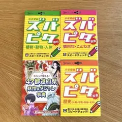 ズバピタ 学習テキスト 4冊セット 国語 理解 社会 慣用句 ことわざ 中学受験