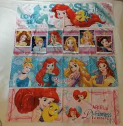 Disney Princess Cool Towel4枚セット ディズニー 冷感のサムネイル