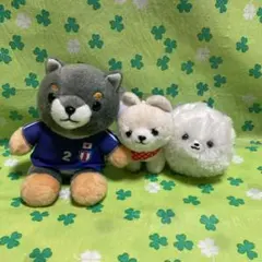 豆しば三兄弟、ふわもふポメたん　ぬいぐるみ　3体セット