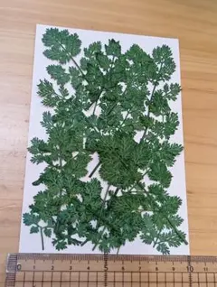 Item thumbnail for item a965cdf5-8743-4c21-a5cf-9be7d0dc17eb