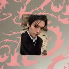 Stray Kids Do it リノ トレカ accordion 封入