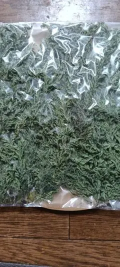 じゅんさんさま専用♡ご予約品