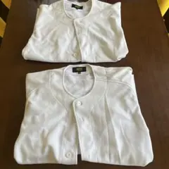 Item thumbnail for item 3f540831-232a-4225-991b-3132637bf0ca