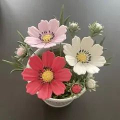クレイフラワー　ミニコスモス