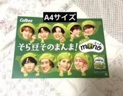 SnowMan カルビー A4サイズ フライヤー 非売品