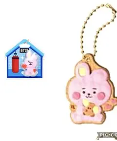 BT21 パッケージチャーム ＢＴ21 クッキーチャームコット２点セット