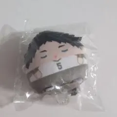 ハイキュー!!　くじメイト　ぬいくじ　Ｅ賞 てのりんずコレクション　赤葦京治