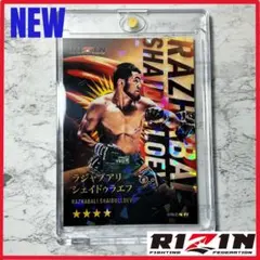 Item thumbnail for item a530dbb8-65c4-4c53-ba56-9d73a5f01955