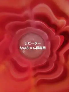 ななちゃん様専用