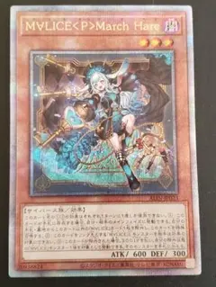 マリス マーチヘア クオシク