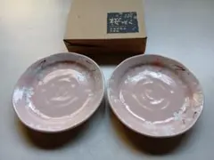 ピンク色が可愛い！桜柄美濃焼　陶器皿　取皿　2枚組
