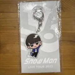 Man 渡辺翔太☆まとめ売り　すのチル アクスタ…他８点 snowman 渡辺翔太 アクスタ アクキー ぬいぐるみ スノちる