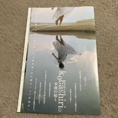 Item thumbnail for item 4a55124e-78e4-4e32-8bd1-17b6144c0e24