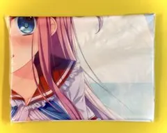 天神乱漫 タペストリー C 集合 縦 ゆずソフト - メルカリ