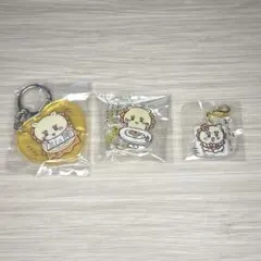 シーサー まとめ売り