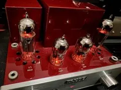 2026年最新】TRIODE RUBYの人気アイテム - メルカリ