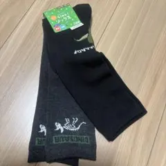 Hi! Ciao! ソックス 恐竜柄 15-20cm 2足組