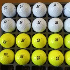 ブリジストン　Aランクロストボール　EXTRASOFT　20球