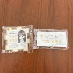 竹内希来里　ひなた坂 46 LIVE パズル&名前キーホルダーセット