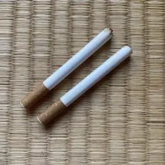 フェイクタバコ　2本セット