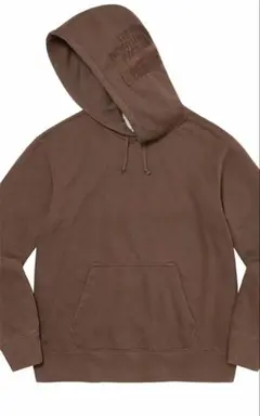 Supreme/The North Face ピグメントプリントフーディー　M