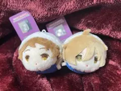 2025年最新】あんさんぶるスターズ! ぬいぐるみ -ra*bits- 真白