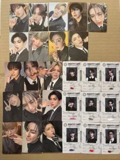 &TEAM トレカ 月狼ウィバース コンプ セット