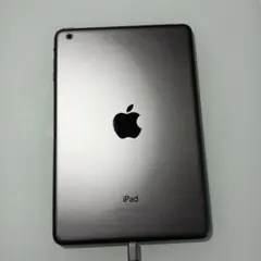 iPAD miniジャンク