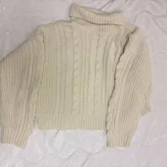 earthmusicecology タートルネック