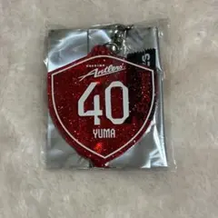 鹿島アントラーズ 鈴木優磨[40] アクリルキーホルダー2個セット - メルカリ