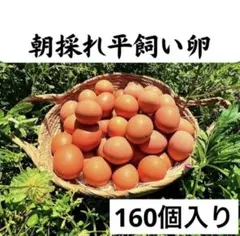朝採れ平飼い卵 160個入り 大分県佐伯市産 朝採れ平飼い卵 270個 大分県佐伯市産 - メルカリ