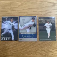 Item thumbnail for item bfa87631-a832-42a3-96d3-a0c40c851969