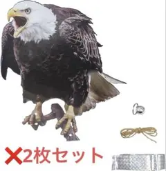 【訳あり】リアル鳥よけ ワシ 吊り下げ式 2個セット 鳩よけ カラス撃退 庭