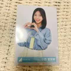 Item thumbnail for item 2ec91b9c-b3f2-4383-9673-bcdf649789e0