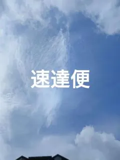 速達便ページ