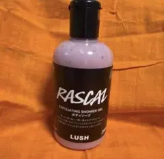 2026年最新】LUSH ボディソープの人気アイテム - メルカリ