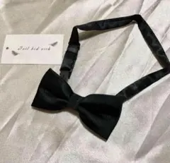 Item thumbnail for item d2ef78d0-1c8c-45d3-9130-eb88e60b3981