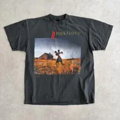 Pink Floyd ピンクフロイド 時空の舞踏 バンT Tシャツ 古着のサムネイル