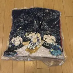 Item thumbnail for item ed904826-6ce3-45be-b4cf-32496db2ae43