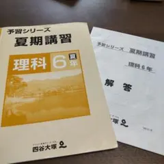 2025年最新】予習シリーズ 6年 夏期講習の人気アイテム - メルカリ