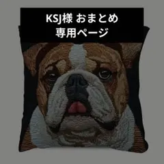 KSJ様 リクエスト 2点 まとめ商品