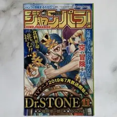 ジャンプパラ！ vol.193 Dr.STONEのサムネイル