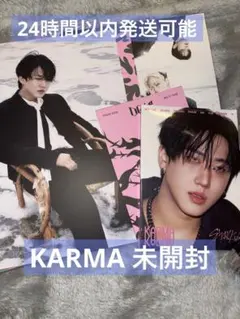 straykids DOIT チャンビン アコーディオン　新品未開封　karma