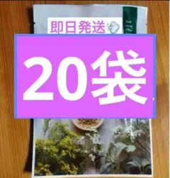 Item thumbnail for item a623ea05-c837-4bee-84cd-54c0385874f8